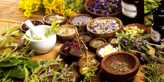 Herbal Magic: A Guide to Sacred Plants