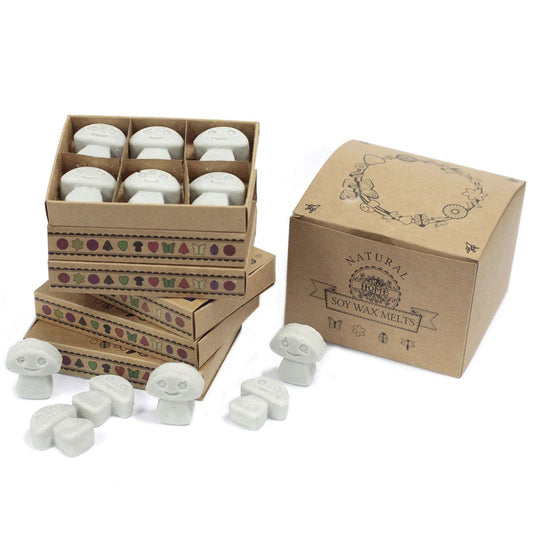 Box of 6 Wax Melts - Dark Patchouli