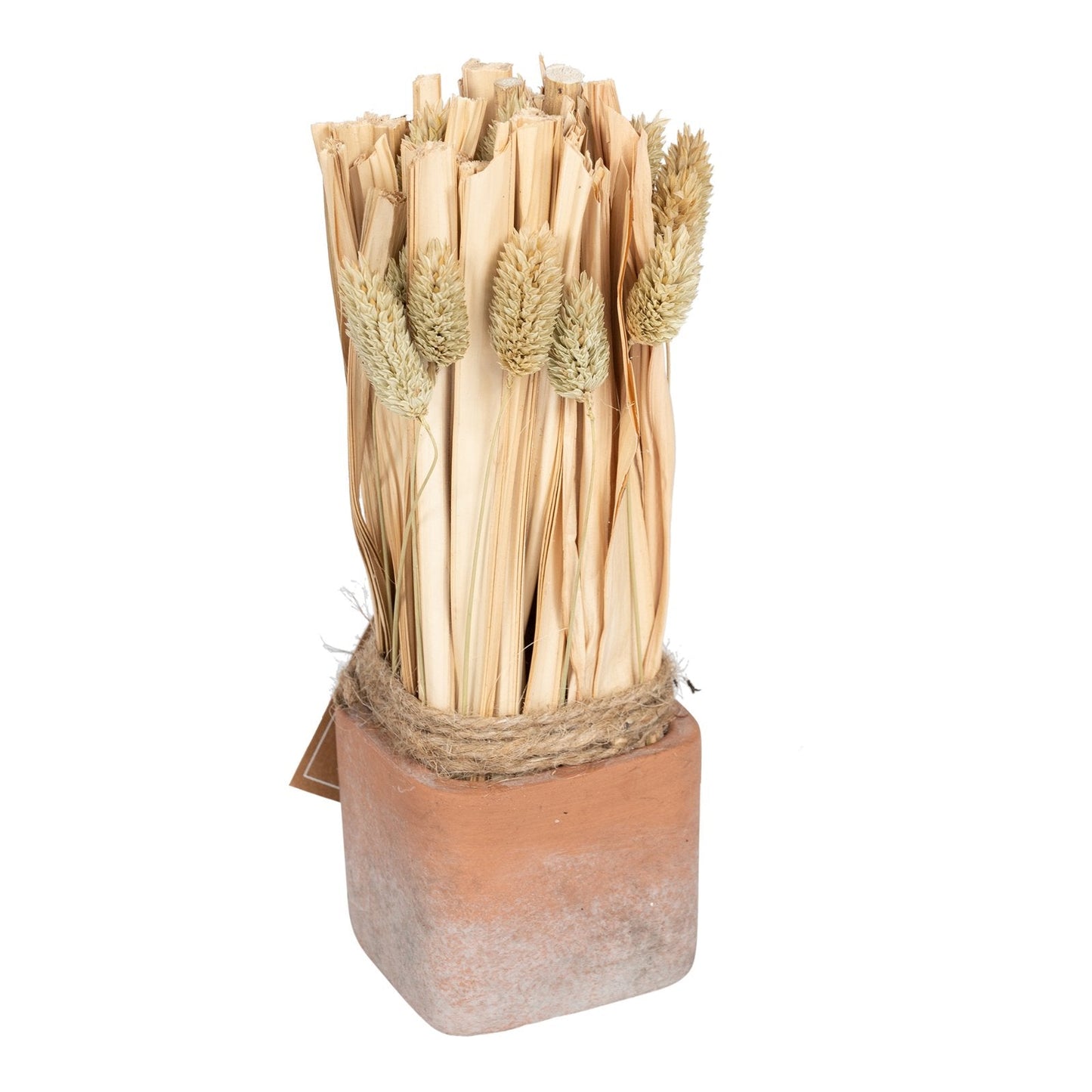 Fox Tail Dried Grass Bouquet in Terracotta Pot - Large-0