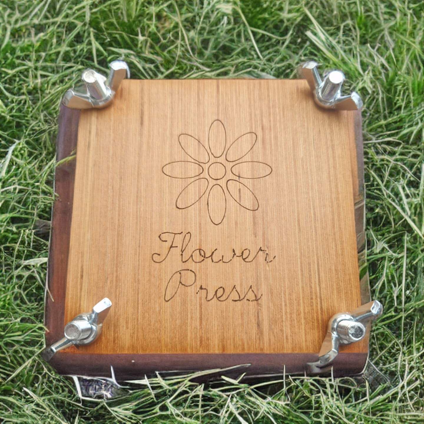 Mini Wooden Flower Press-2