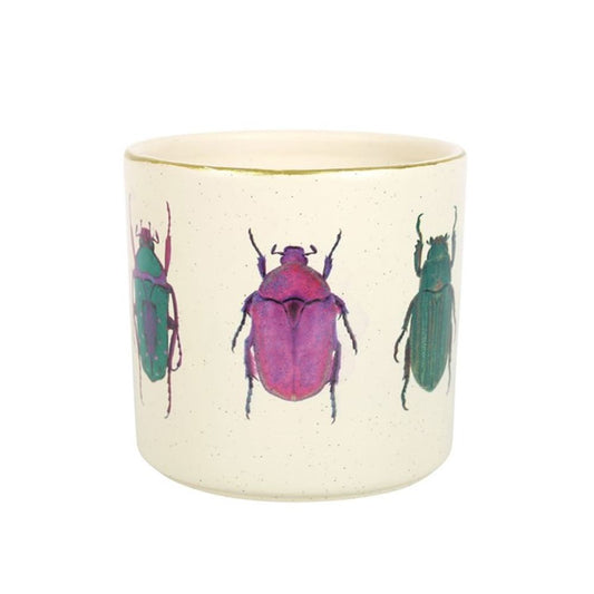 Off White Beetle Plant Pot