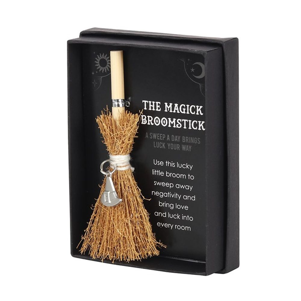 Witch Hat Mini Magick Broomstick